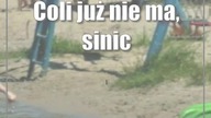 Coli już nie ma, sinice zostały, a ratowników wciąż brak
