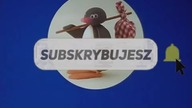 PINGU PSZERÓBKA