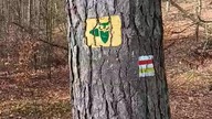 Wokół rezerwatu przyrody Paraszyńskie Wąwozy (zwiastun)
