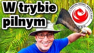 Zwołuje Sztab Kryzysowy