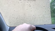 DODA JUŻ JEST W PSIM RAJU