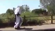 Assasin's Creed w realu