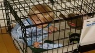 NIEKTÓRZY NIE POWINNI MIEĆ DZIECI