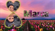 8 marca