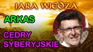 ARKAS - Cedry Syberyjskie