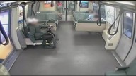 LiveLeak - Snatch and run