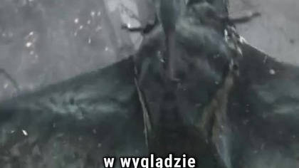 AVATAR i samochody wyścigowe?