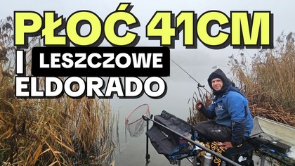 632 CO ZA PŁOĆ! LESZCZOWE ELDORADO NA RĘDZINIE - WROCŁAW