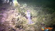 rzeka Kośna, jeziora Maróz i Pluszne - Best Divers