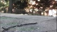 Skoki z Bike Park W Kłodzku