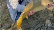 Karp Jacka największego łowcy na wsi ! #wędkarstwo #carpfishing #ryby #fishing #karp #carp #fish