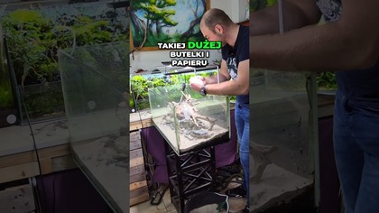 Prosta aranżacja, która zachwyca!  #akwarystyka