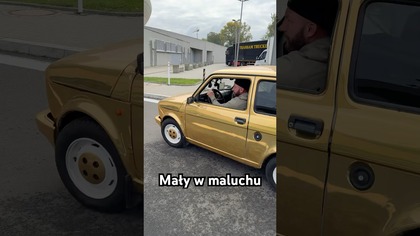 Fajny maluch?  #shorts