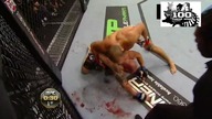 Nokauty zawodnik&oacute;w UFC
