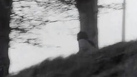 Agnieszka (1972)