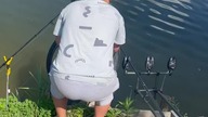 Karp odpływa w siną dal