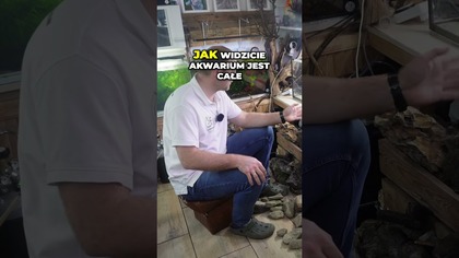 Czy dno akwarium pęknie?  Sprawdzam!