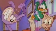Przygody Animk&oacute;w s01e67 eng