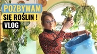 Plany, które zmieniają postrzeganie roślin