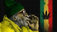 Smoking every day-Aa Ss