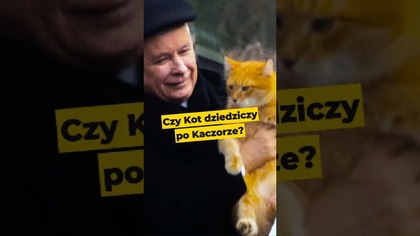 Czy Kot dziedziczy po Kaczorze? #Kaczyński #dynastia #polityka #PiStoMafia #Polska