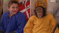 Kosmaty Zawodnik(MVP.  Most Valuable Primate) familijny, sportowy 2000 lektor pl