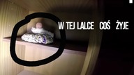 STRASZNE, PARANORMALNE NAGRANIA - W tej lalce coś żyje...