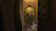 Najdroższa whiskey na świecie.  Sprzedana za 2. 000. 000 $