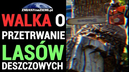 Trwa walka o przetrwanie lasów deszczowych w Brazylii i Demokratycznej Republice Konga