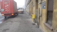 No life - dzień z życia debila