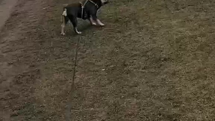 fe9fe8ae-6b1b-4474-8eaf-8eb765735b02