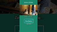 GOŁA ŻONA - Suchary #shorts #13