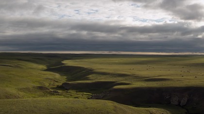 Preria.  Ukryty skarb Ameryki Północnej
