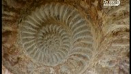 Detektywi skamielin - South West England [Lektor PL]