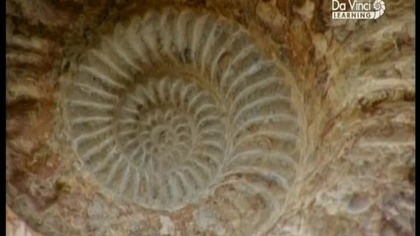 Detektywi skamielin - South West England [Lektor PL]