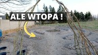 Moj najwiekszy bład w OGRODZIE WARZYWNYM.  Co zrobiłabym inaczej gdybym zakładała ogród od nowa?