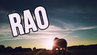 [Choroby koni] RAO