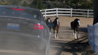 Budweiser Super Bowl XLVIII Commercial -- "Puppy Love"