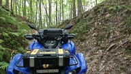 Yamaha grizzly 700 wąwozy Wandalin woj.  Lubelskie(1)