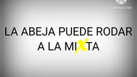 Mixta - The Bee Cant Rolling on a Mixta Commercial (Lu and the Bally Bunch) (2008)