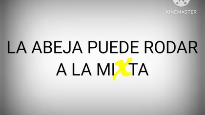 Mixta - The Bee Cant Rolling on a Mixta Commercial (Lu and the Bally Bunch) (2008)