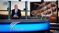 Ted Kuntz - Program szczepień dzieci i powikłania poszczepienne