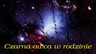 Czarna owca w rodzinie