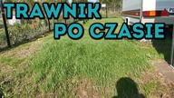 Na Działce! Vlog odc. 40 Trawnik po czasie.  Podsumowanie sezonu działkowego #MajsterAmator