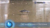 Fala wezbraniowa w Warszawie. Stan alarmowy na Wiśle przekroczony!