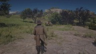 RDR2.  Amerykanie odpoczywają.  GeForce RTX 3090 Trinity Intel Core i9-10900K