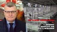 Kiedy skończy się pandemia?