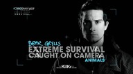 Bear Grylls - Ekstremalne wypadki - Zwierzęta