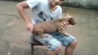 Tak nakręca się psa =)