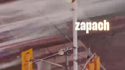 Ulica Warkocza  #ulica #polskirap #rap #rappl #muzyka #music #shorts